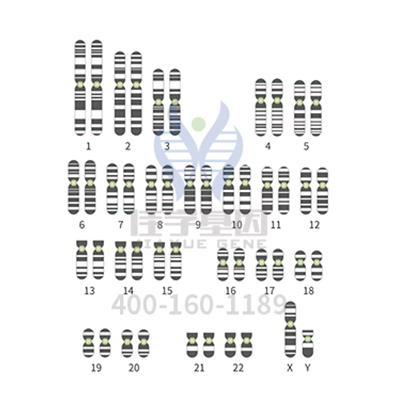 【佳学基因案例】马凡氏综合征基因检测、基因解码